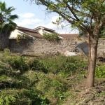 Thika Landless Plot for Sale | Secure 100x100 Land with Servant Quarters & Trees