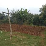 3/4 Acre Land for sale Near Ragati Tea Factory – KSh 6.3M
